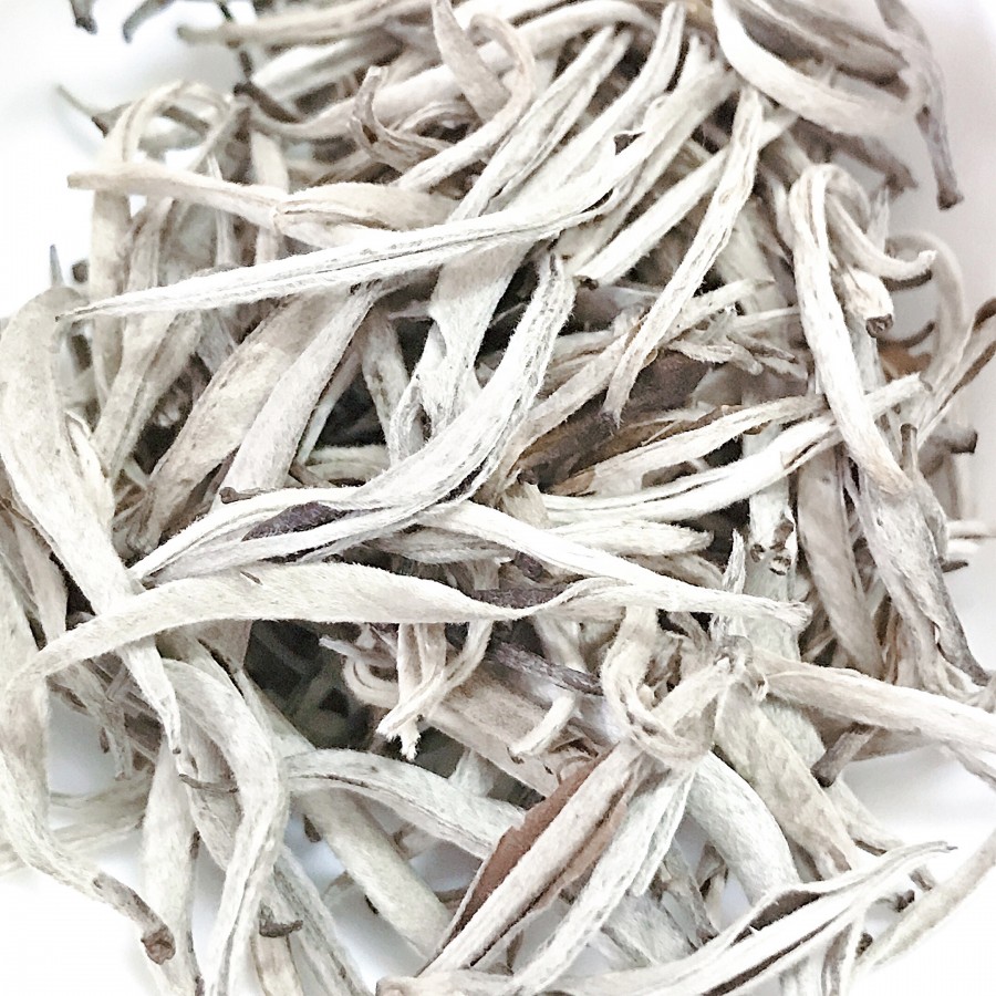 Bạch trà Trà cổ thụ thượng phẩm nguyên bản nhất tìm hiểu