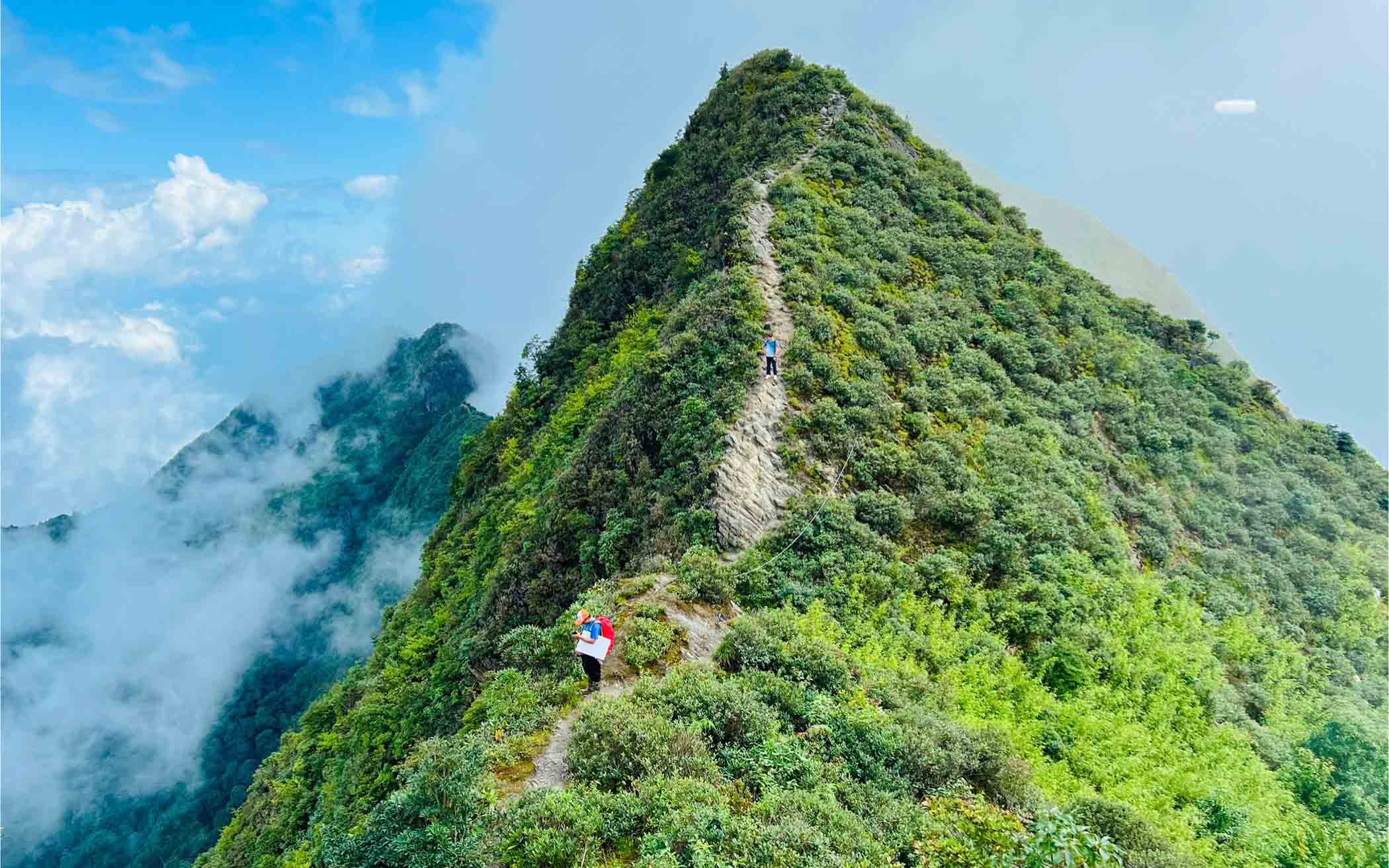 Săn mây trên 'sống lưng khủng long', ngắm rừng rêu ở Tà Xùa