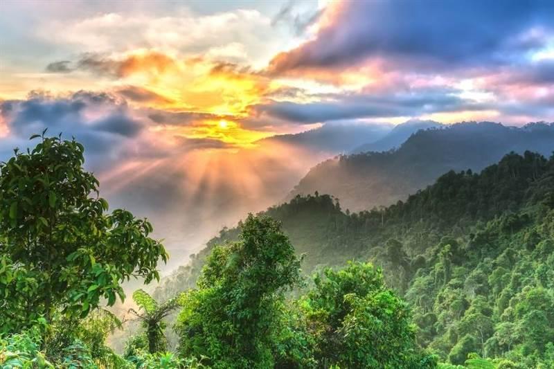 Du lịch Suối Giàng Yên Bái - Vùng đất chè Shan Tuyết cổ thụ