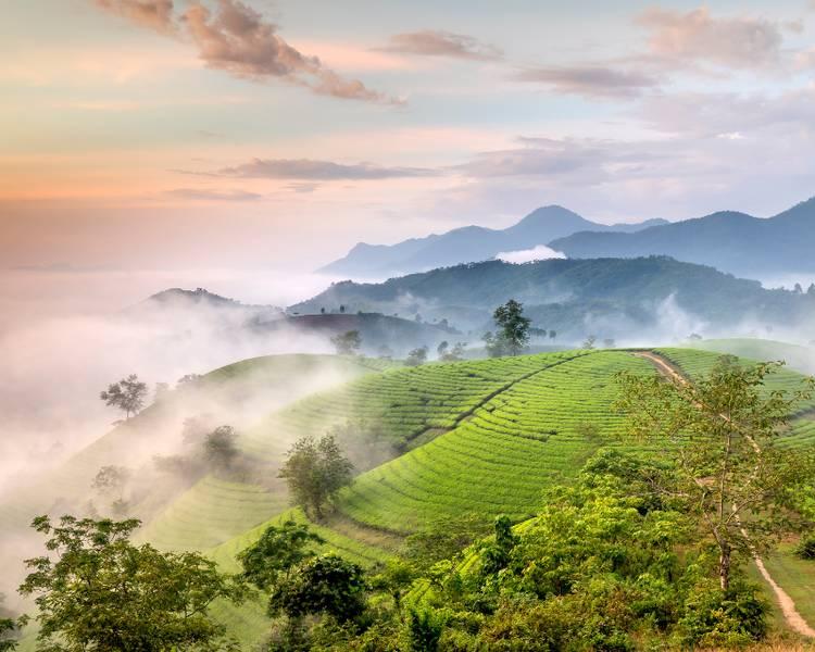Thời tiết Phú Thọ như thế nào? Du lịch Phú Thọ mùa nào đẹp?