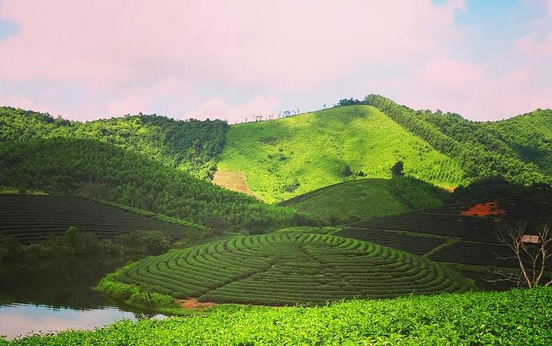 Đồi chè Thanh Chương - Hòn đảo xanh giữa lòng xứ Nghệ - ngheantourism.com
