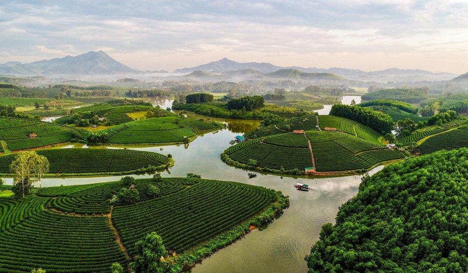 Đảo Chè Thanh Chương - Điểm du lịch Nghệ An thú vị - Du Lịch Dế Mèn