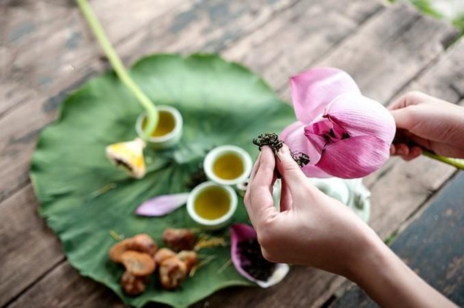 Trà Ướp Bông Sen Tươi Cao Cấp Sen Sổi Tây Hồ Hà Nội