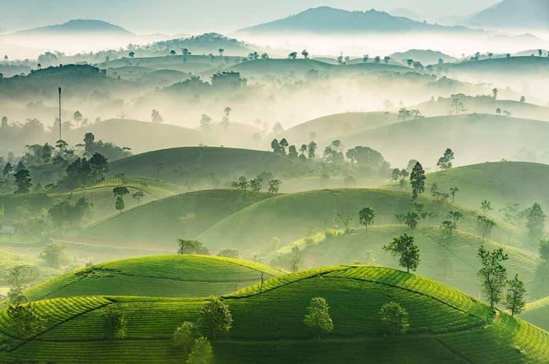 Khám Phá Suối Giàng - Nghĩa Lộ - Tú Lệ - Mù Cang Chải 3N2Đ