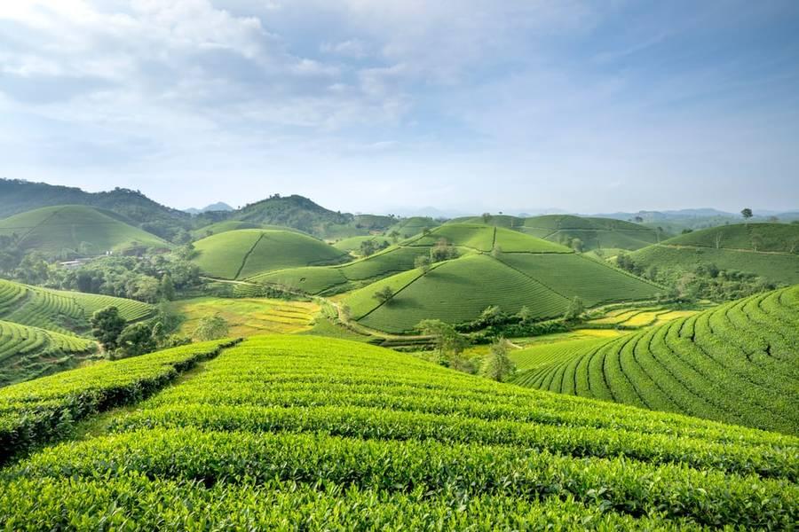 Đến thăm 10 địa điểm check-in Việt Trì - vùng đất Vua Hùng