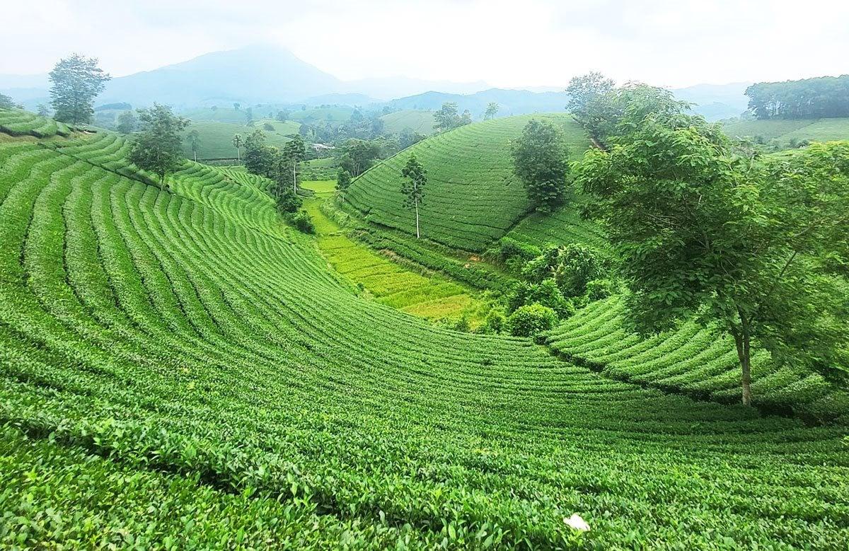 Khám phá thiên nhiên Phú Thọ